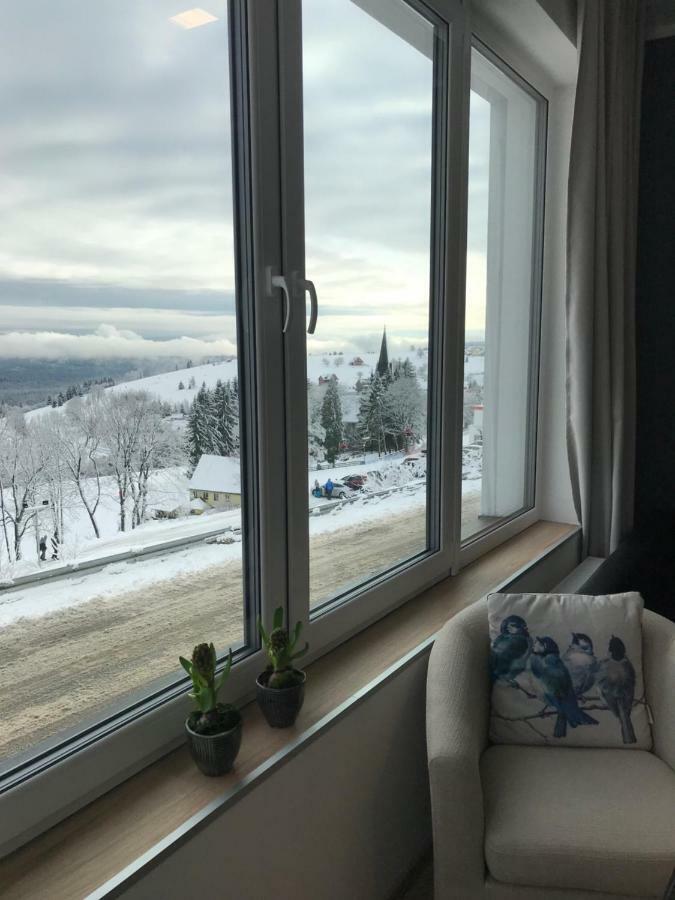 Apartamenty Zieleniec Duszniki Zdrój Kültér fotó
